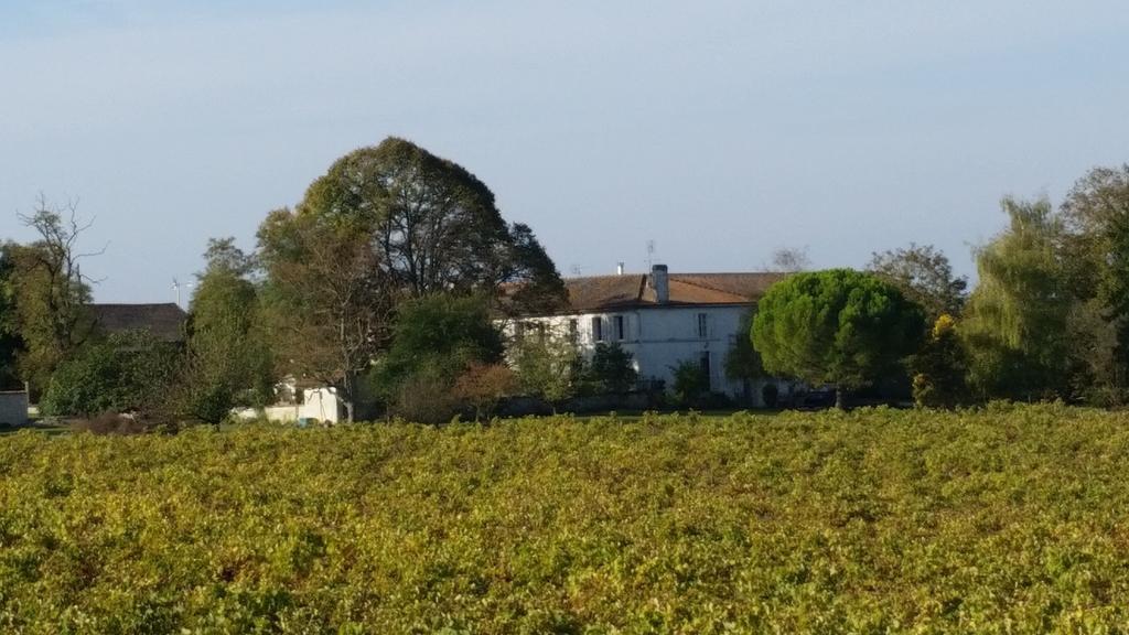 Saint-Maurice-de-Tavernole Le Vieux Noyer Bed & Breakfast エクステリア 写真